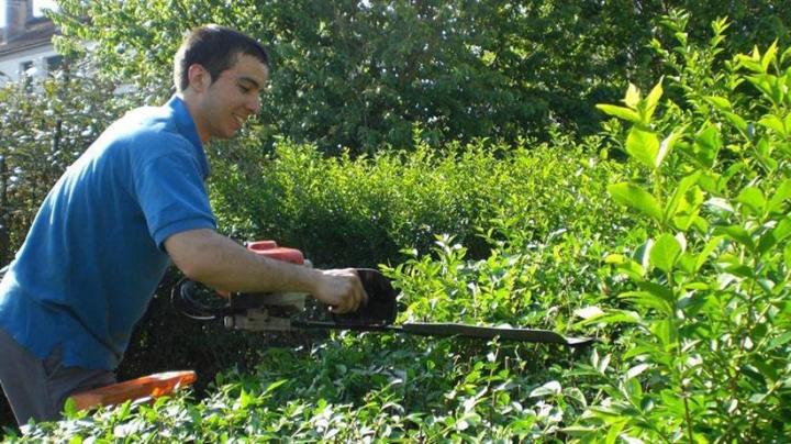 Travaux d’entretien d'espaces verts Gonesse 