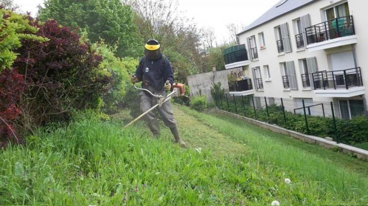 Travaux d’entretien d'espaces verts Gonesse