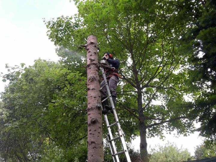 Des interventions de tout type pour répondre à tous vos besoins.