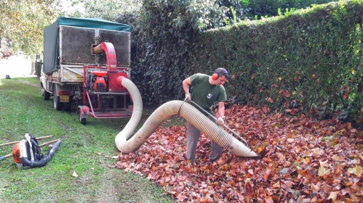 Entretien d'espaces verts Gonesse