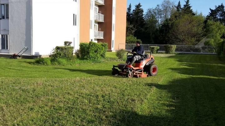 Faites appel à nous pour un jardin impeccable.