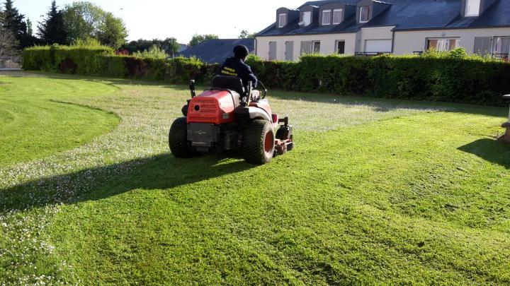 Jardinier expérimenté Gonesse