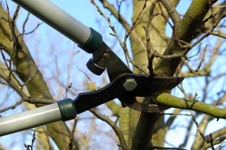 Comment entretenir un jardin ou un espace vert en hiver ? Gonesse